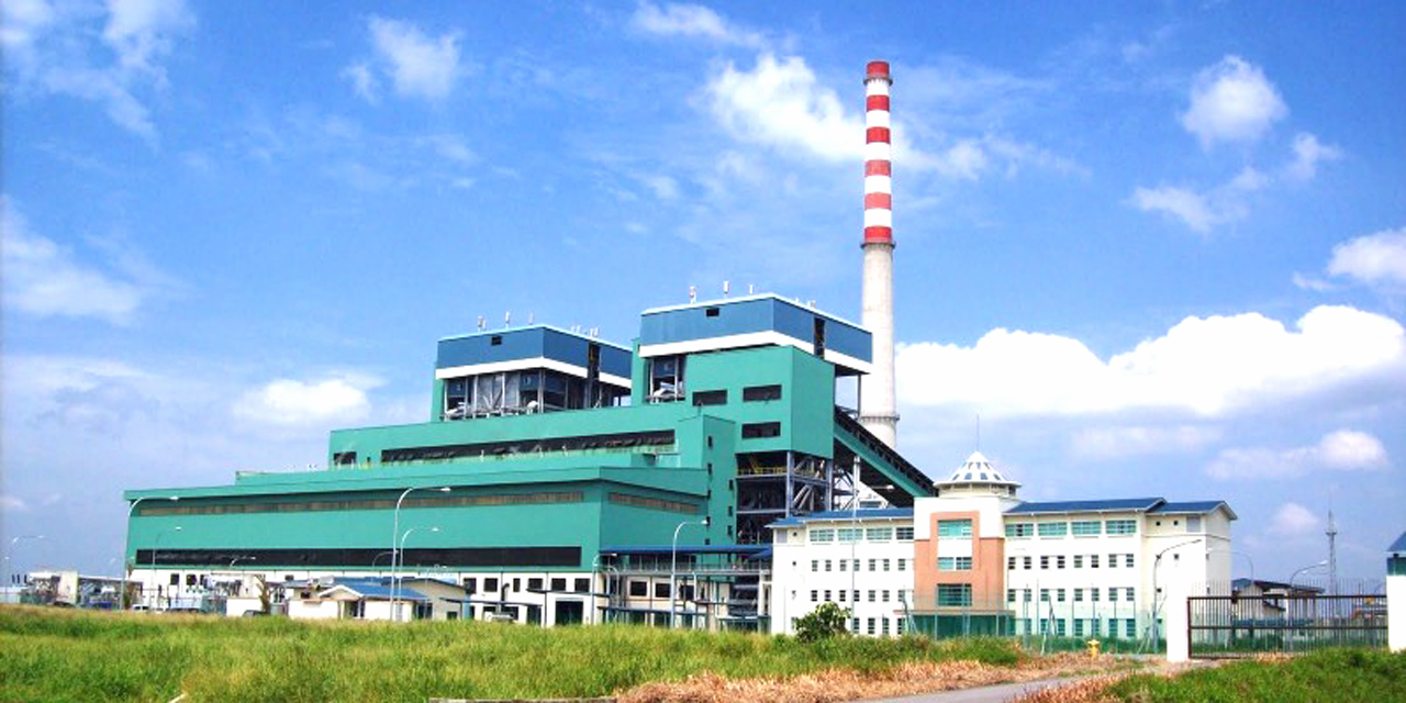 mukah-plant